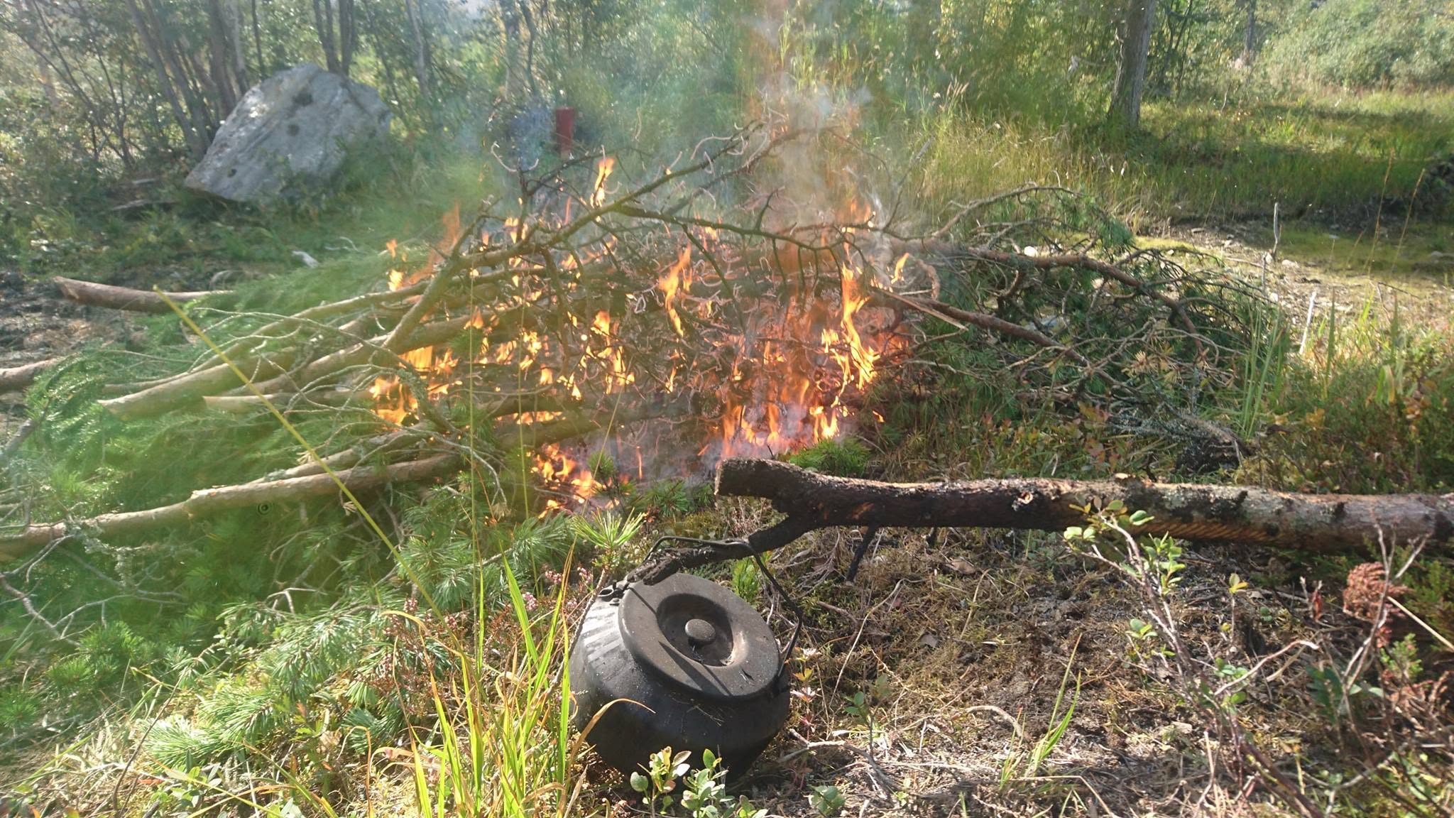 Rydding og bortkjøring