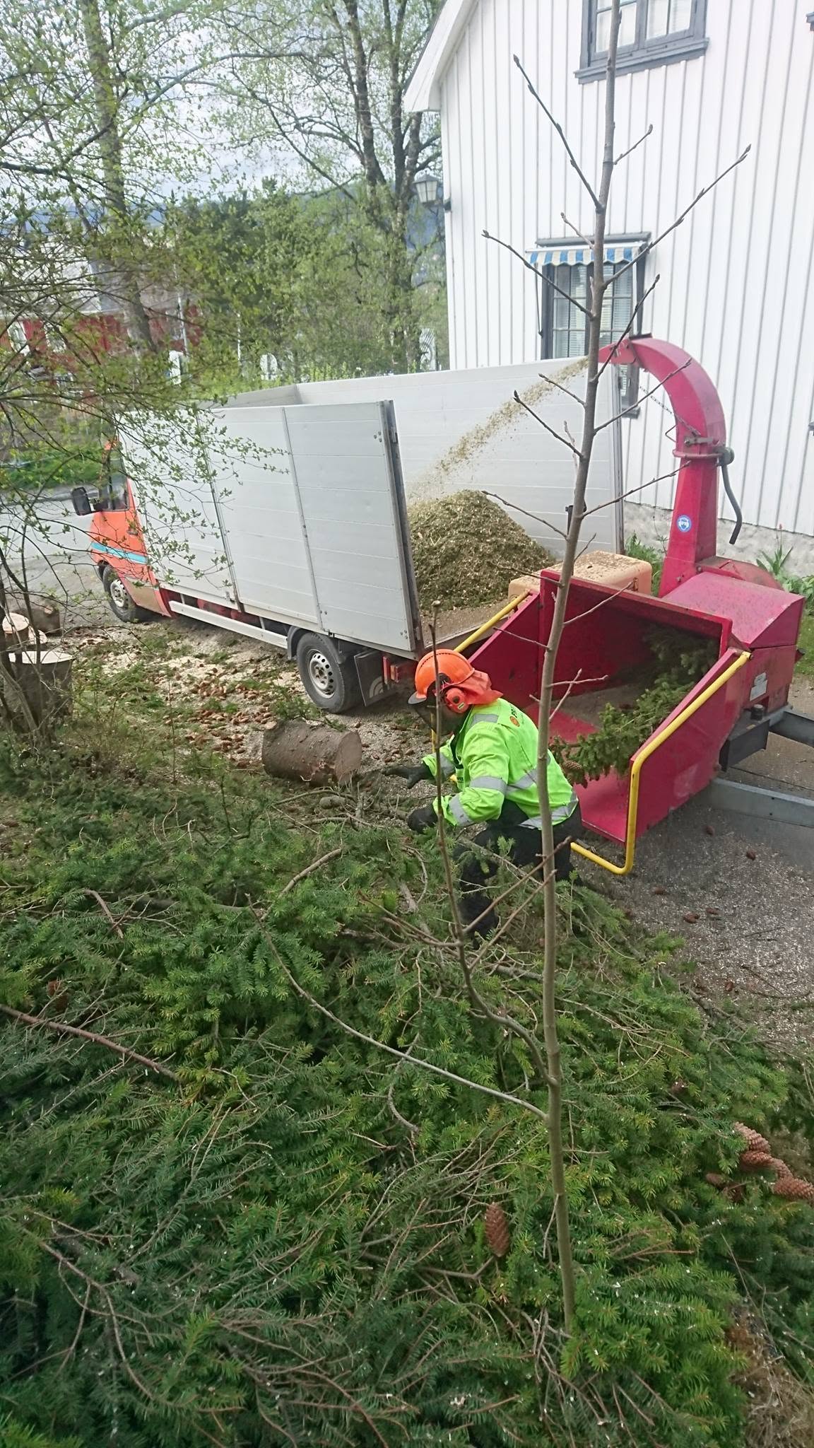Flishugging av kvist og trær