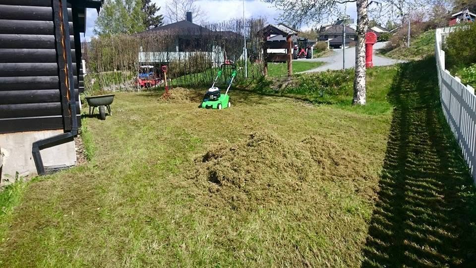 Plenklipping